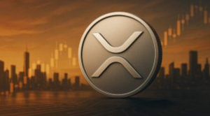 XRP 전문가가 만난 리플 관계자들…대화마다 반복된 한 가지 이야기1